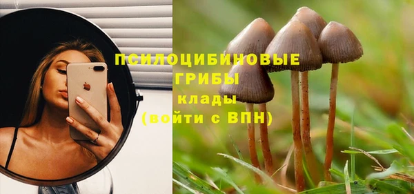 бошки Пестово