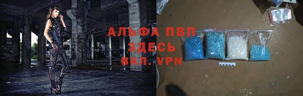 СК Алексеевка