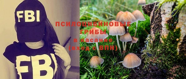 СК Алексеевка