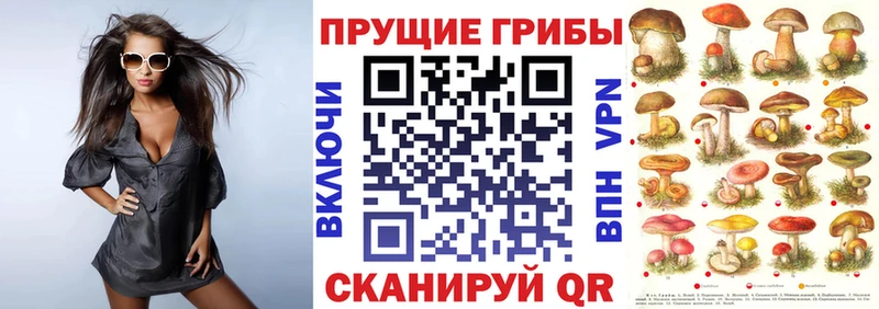 Псилоцибиновые грибы Cubensis  KRAKEN онион  Алексин 