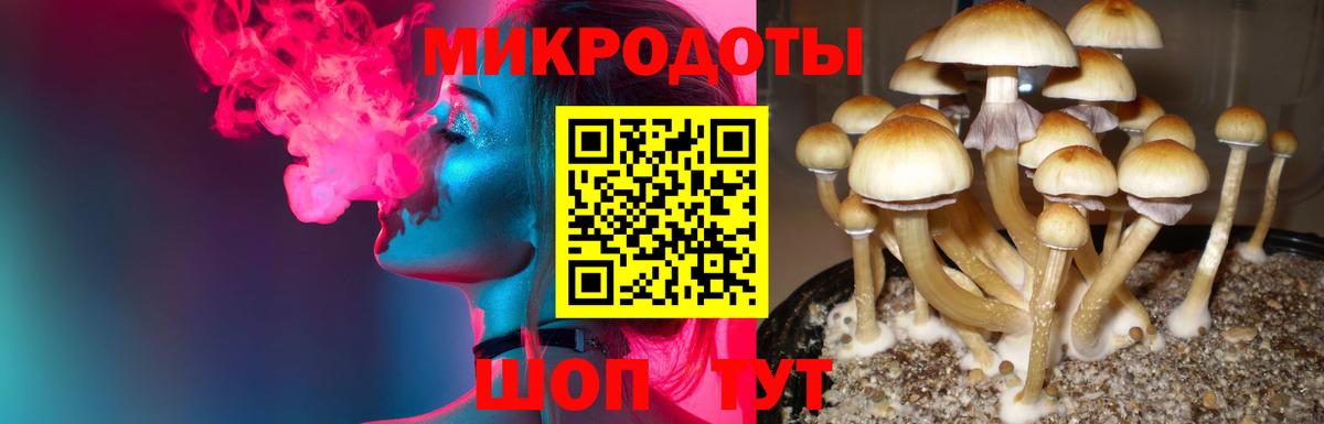 Алексин  Псилоцибиновые грибы мицелий  Вход с VPN 